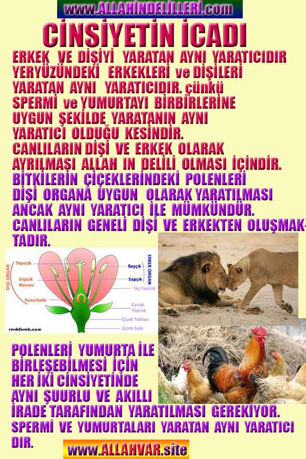 allahin-delilleri, allahin delilleri, allah delilleri, allahin varliginin delilleri
