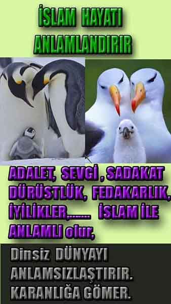 allahin-delilleri, allahin delilleri, allah delilleri, allahin varliginin delilleri
