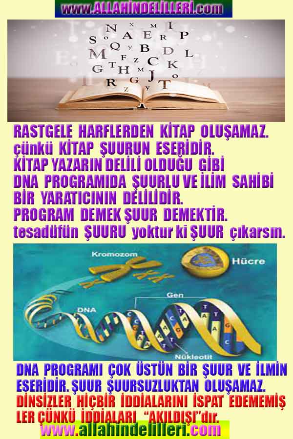 allahin-delilleri, allahin delilleri, allah delilleri, allahin varliginin delilleri, allah var, allahin delilleri nelerdir?