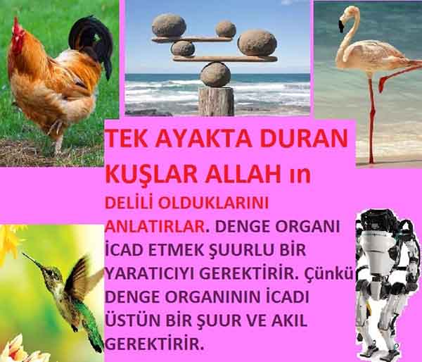 allahin-delilleri, allahin delilleri, allah delilleri, allahin varliginin delilleri