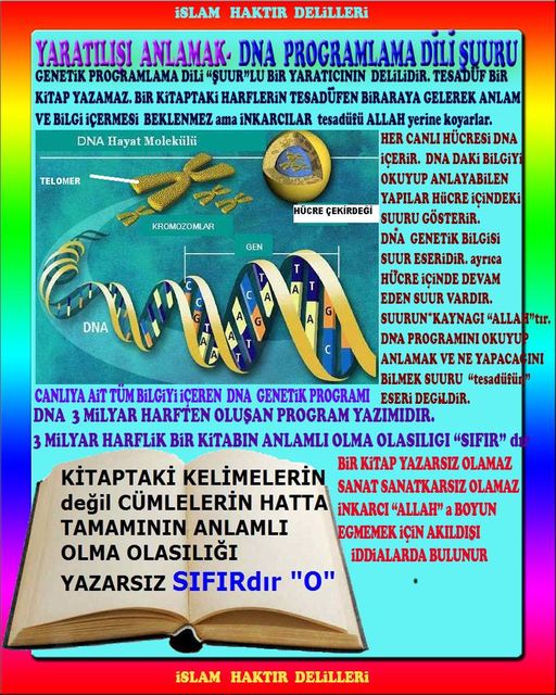 allahin-delilleri, allahin delilleri, allah delilleri, allahin varliginin delilleri