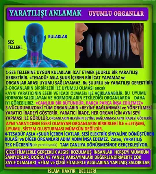 allahin-delilleri, allahin delilleri, allah delilleri, allahin varliginin delilleri, allah
